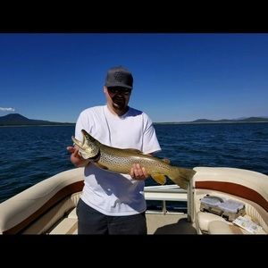 Meet your Posher, Ryan